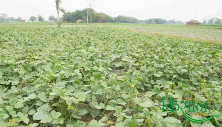 Shailendra Raghuvanshi Empowers Farmers