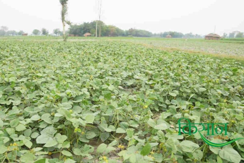 Shailendra Raghuvanshi Empowers Farmers