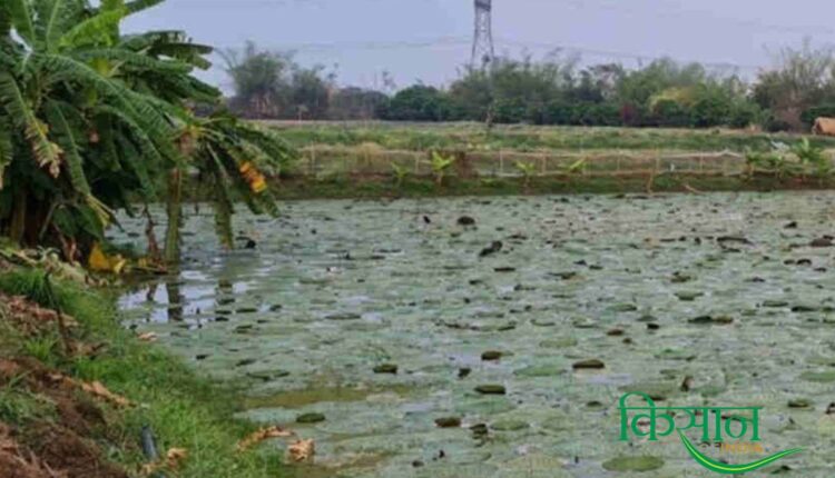 Farmer Deepak Maurya is moving forward with determination and facing challenges in organic farming