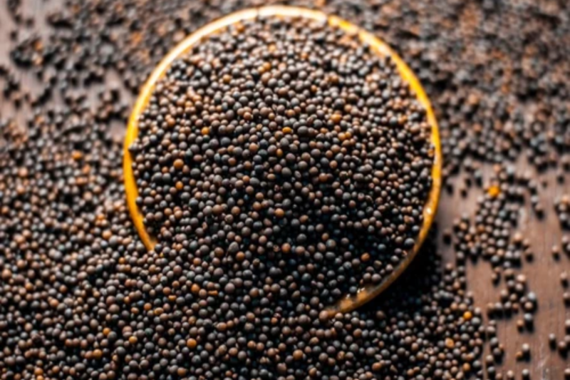 Community Seed Banks: Preservation of traditional seeds and their importance for climate-resilient farming