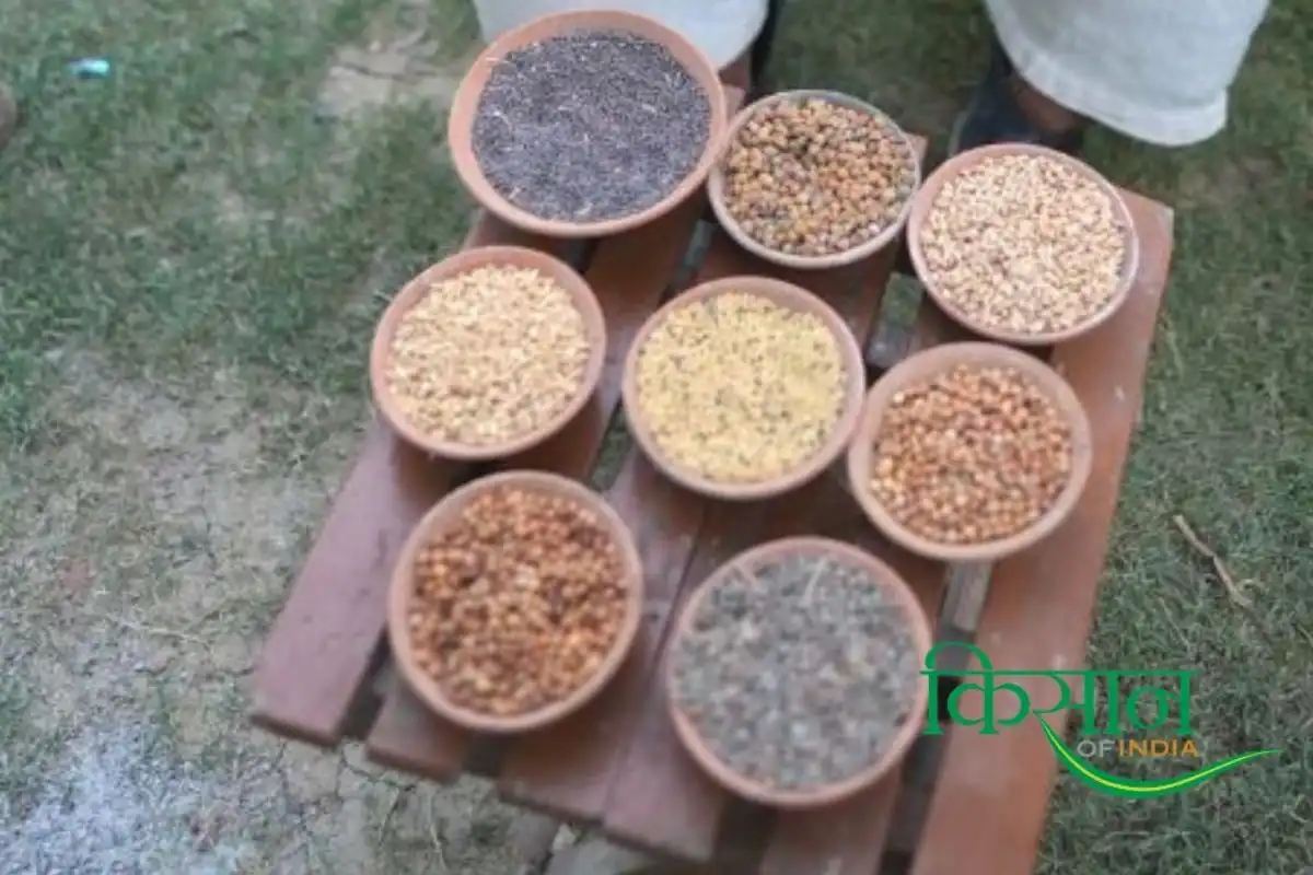 Indigenous Agricultural Technologies 1