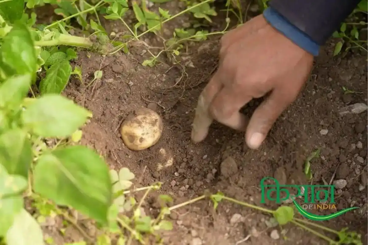 Indigenous Agricultural Technologies 3