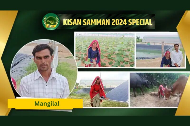 Jaipur's Mangilal adopted advanced farming techniques in polyhouse farming
