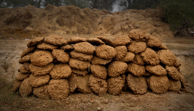 This engineer from Patiala has made a machine to make wood from cow dung, know its price and features