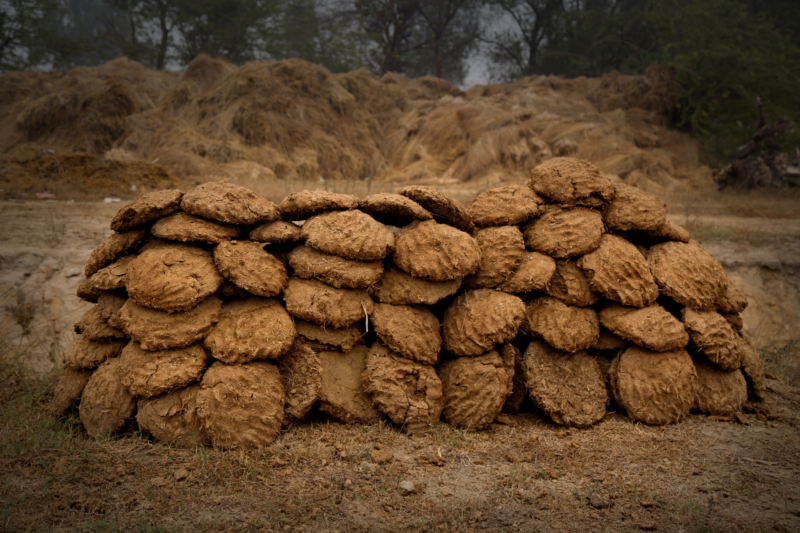 This engineer from Patiala has made a machine to make wood from cow dung, know its price and features