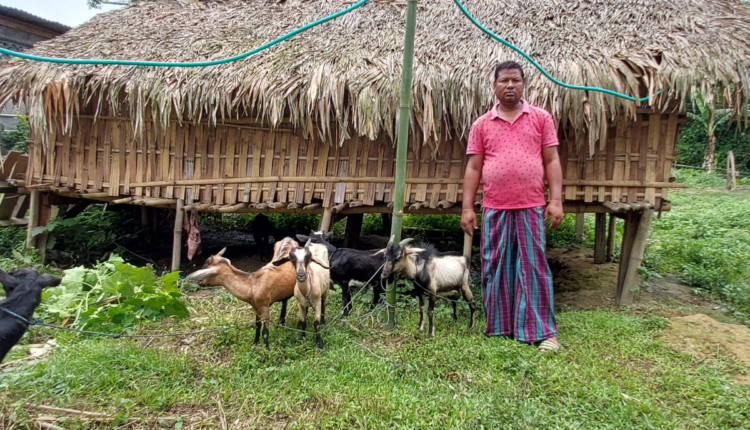 Integrated Livestock Farming