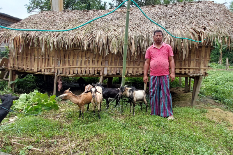 Integrated Livestock Farming