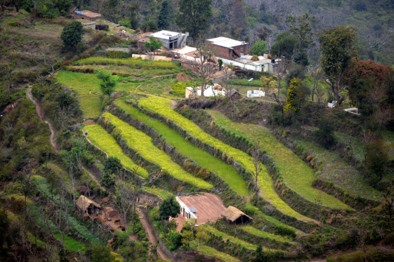 Samman 2024: Azad Verma Innovates for Farming's Better Future