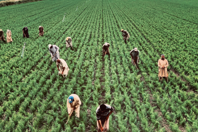 Rani Durgavati FPO: Khel Chand wrote the story of empowerment of farmers in Mandla, a new beginning of rural development