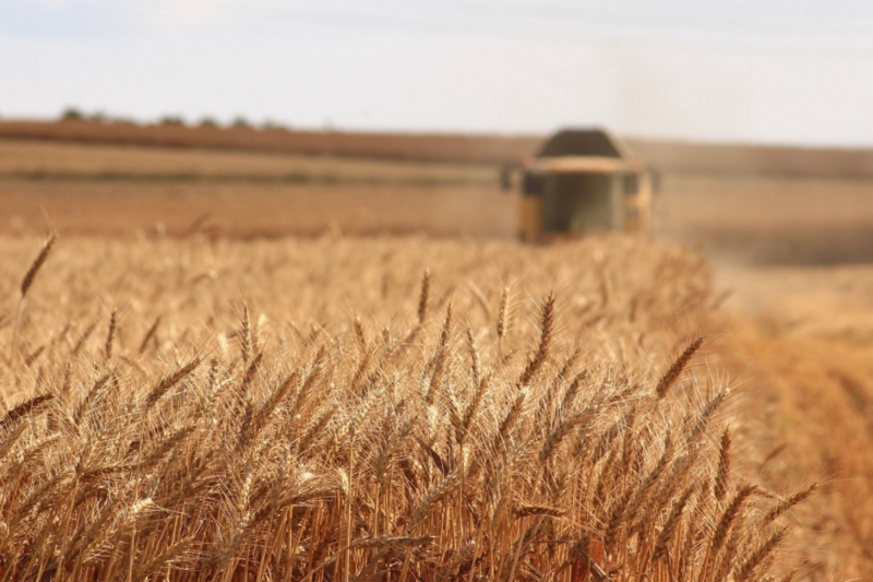 Innovation of protected farming: story of making farms mini Israel