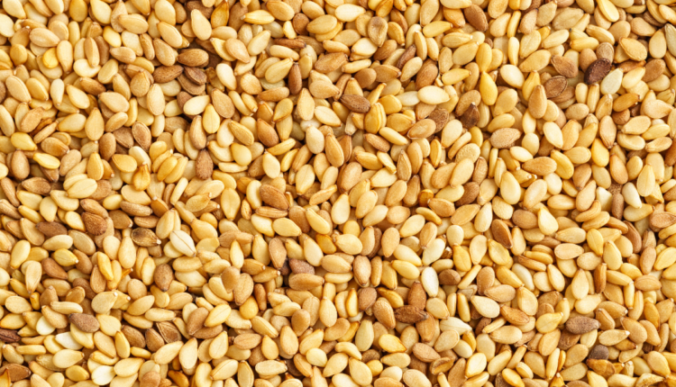 It will be beneficial for farmers to cultivate sesame in summer