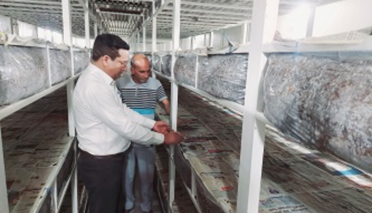 Delhi Farmer Earns ₹21L via High-Tech Mushroom Farming