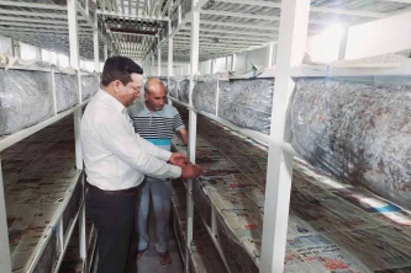 Delhi Farmer Earns ₹21L via High-Tech Mushroom Farming