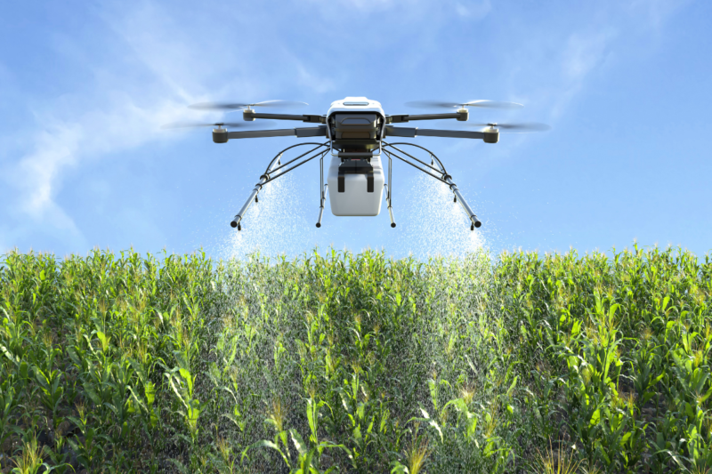 Namo Drone Didi Scheme: Namo Drone Didi Scheme brings women empowerment and new revolution in agriculture