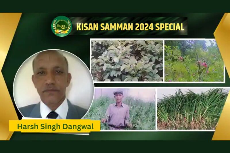 Dragon Fruit Farming: How much is the cost of dragon fruit farming and what is the market? Know from farmer Sunil