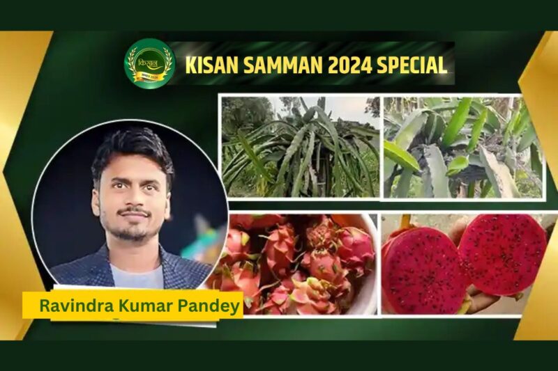 Ravindra Pandey's New Agri Techniques Drive Change, Win Praise