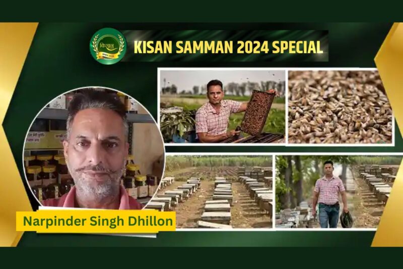 Narpinder Dhillon's Karam Honey: Revolutionizing Agriculture