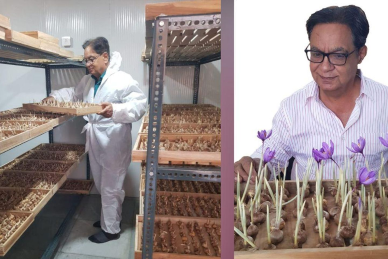 Ramesh Gera: When an engineer created history in Saffron Farming 