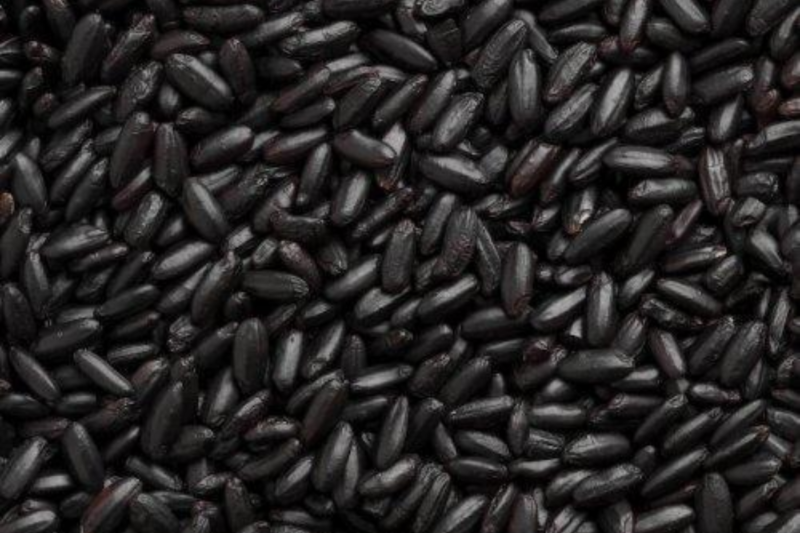Ramashray Kumar made Black Rice the brand of Chandauli through organic farming 