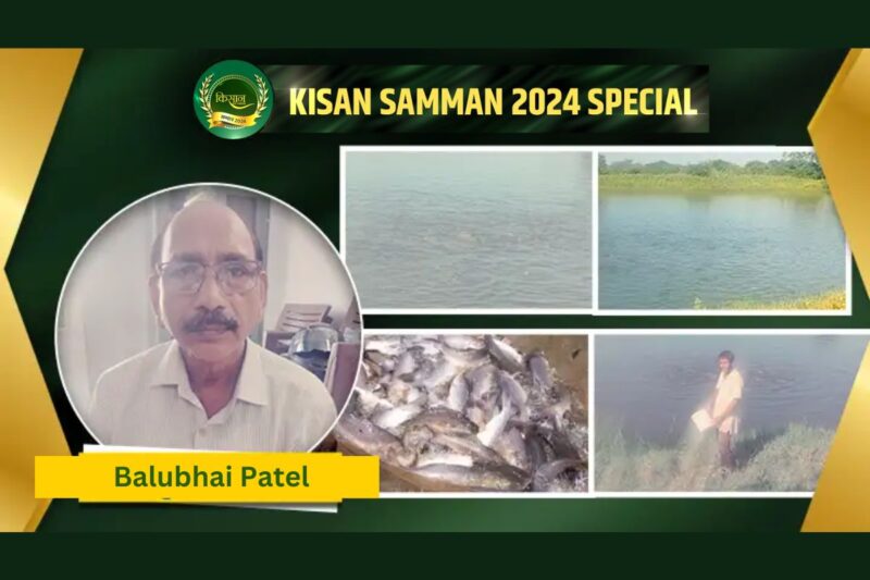 Balubhai Patel is a progressive farmer and pioneer of fish farming for last 20 years 