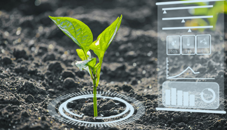AI-Enhanced Soil: The Future of Intelligent Farming