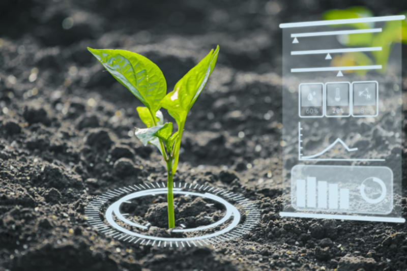 AI-Enhanced Soil: The Future of Intelligent Farming 