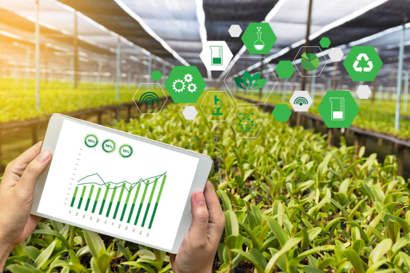 Digital Marketplaces for Farmers: A Gateway to Global Consumers
