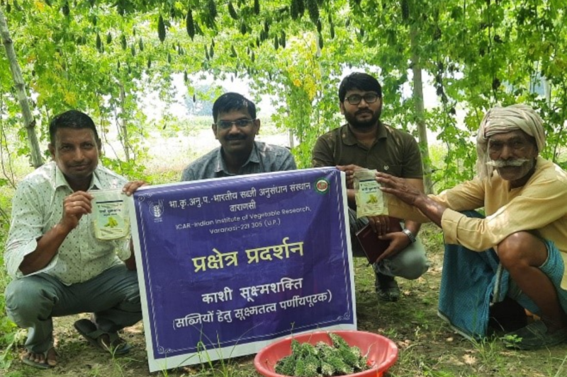 Kashi Sookshma Shakti: Kashi Sookshma Shakti will remove the deficiency of micronutrients in vegetables