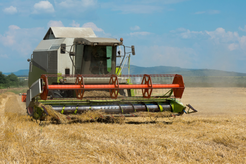 Post Harvest Management: Reducing wastage after harvest and increasing farmer profits in Indian agriculture system