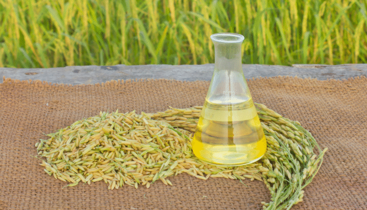 Rice Bran Oil vs Sunflower Oil: Know the difference between Rice Bran Oil-Sunflower Oil and its market with features