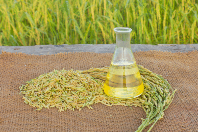 Rice Bran Oil vs Sunflower Oil: Know the difference between Rice Bran Oil-Sunflower Oil and its market with features