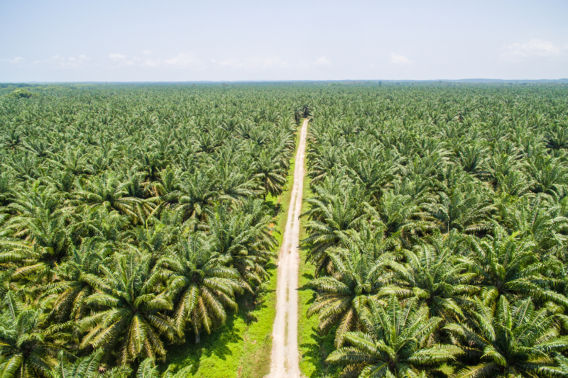 Revolution in agriculture with new technologies by Farmer Pritam Singh