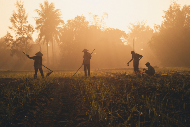 Why Mental Health Support Must Be a Priority for Indian Farmers