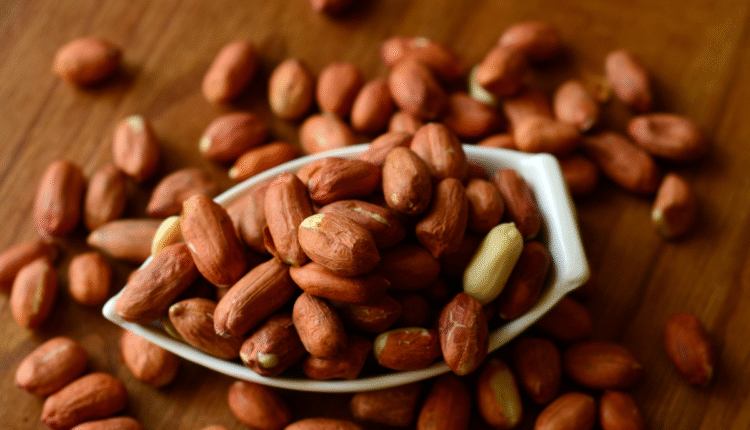 Summer farming of peanuts: benefits, challenges and solutions 