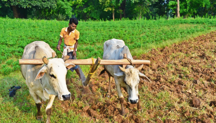 Krishi Sakhi Scheme: Krishi Sakhi is an ambitious scheme of UP government, promoting natural farming with Rs 2500 crore