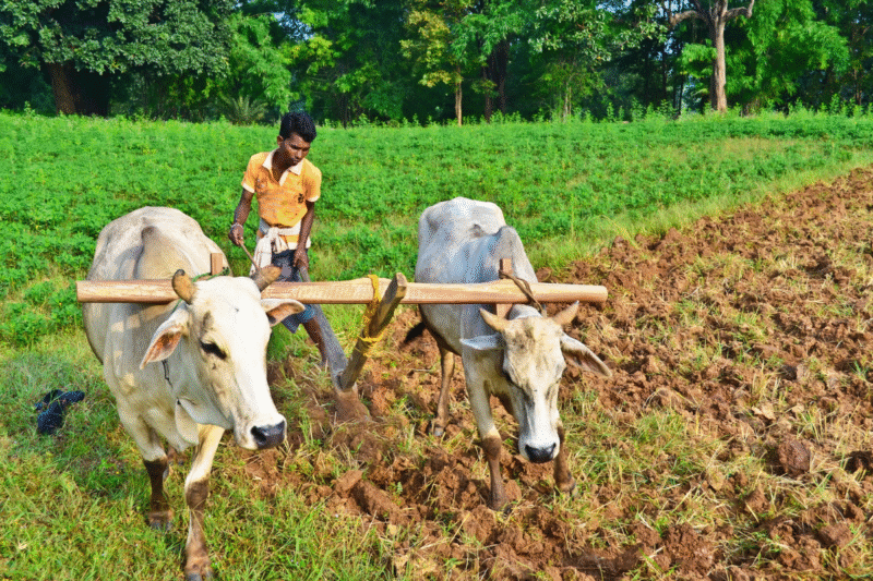 Krishi Sakhi Scheme: Krishi Sakhi is an ambitious scheme of UP government, promoting natural farming with Rs 2500 crore