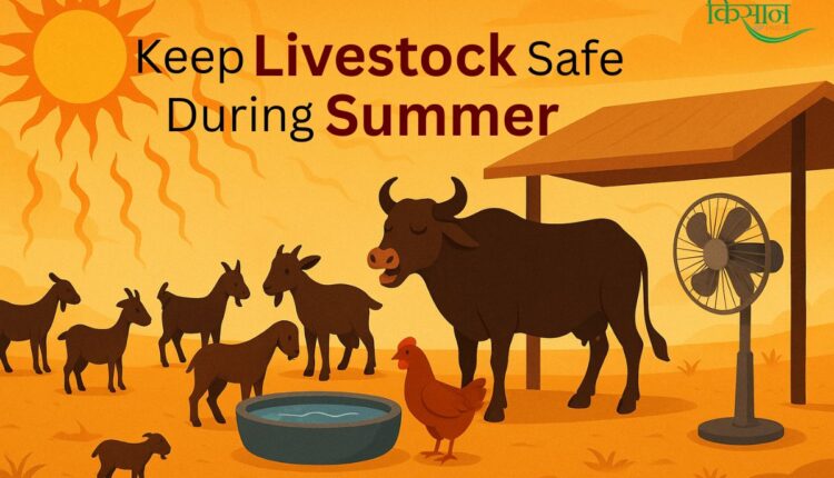 Heat Stress in Livestock: Symptoms, Prevention, and First Aid