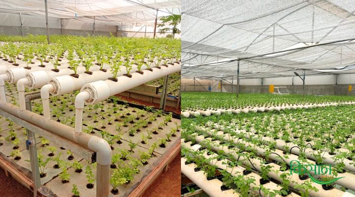 Fish Farming Revolution & Innovation Led by a Woman Architect in Karnataka