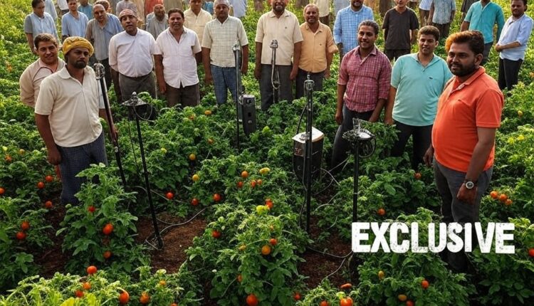 EXCLUSIVE - Sound Harvest: How Acoustic Technology is Boosting Crop Growth in Indian Fields 