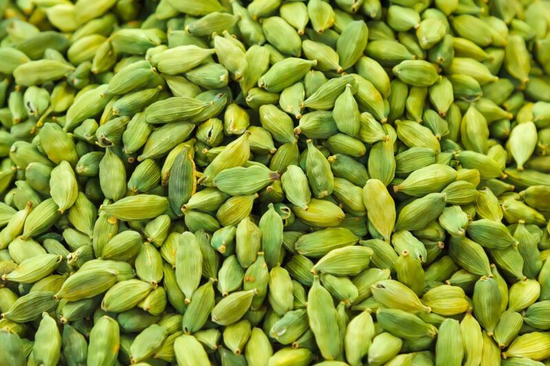 Large Cardamom Cultivation: Know how large cardamom cultivation is becoming a new source of income for farmers