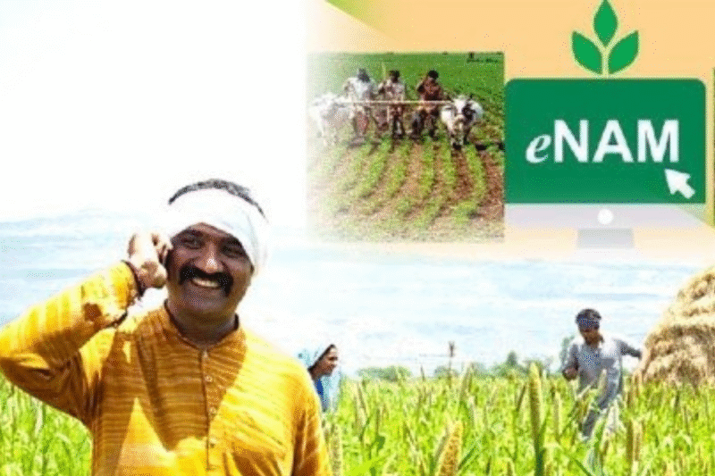 Aadhaar Is Mandatory in E-NAM scheme: Aadhaar is mandatory in e-NAM scheme, without verification you will not get benefit