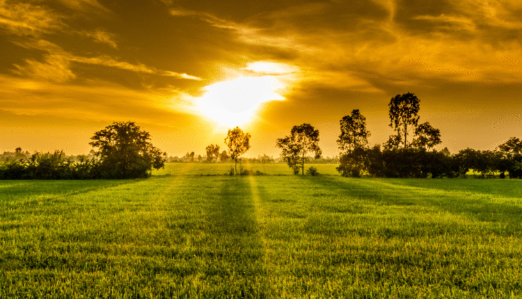Cloud Farming: A New Way to Water Crops from the Sky