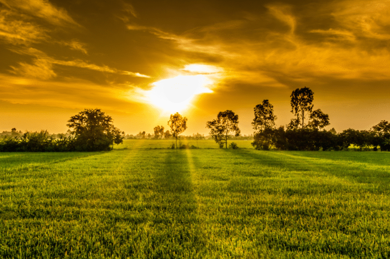Cloud Farming: A New Way to Water Crops from the Sky