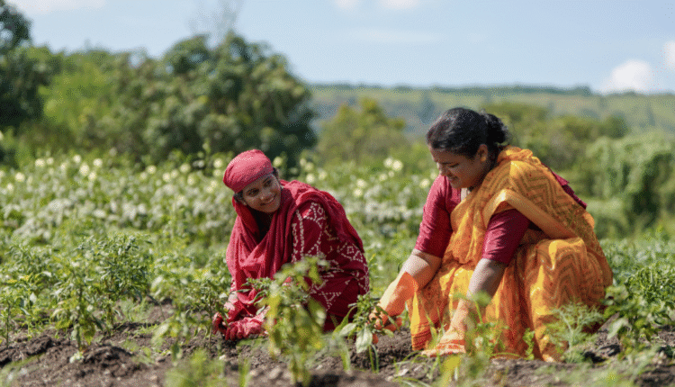 Role Of Women In Agriculture: How can agriculture empower women for the country's economy? Some important points