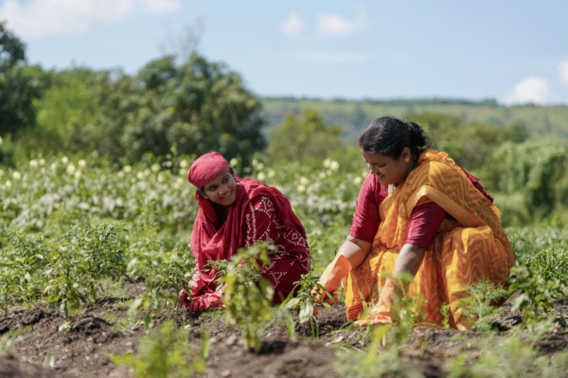 Role Of Women In Agriculture: How can agriculture empower women for the country's economy? Some important points 