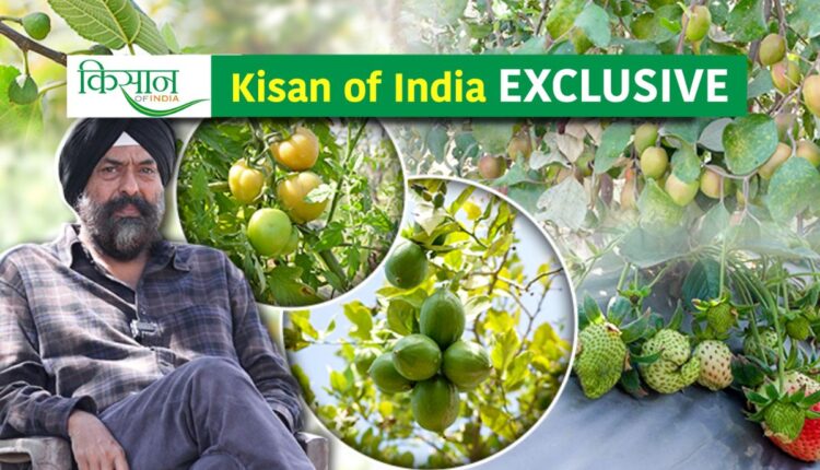 Harjeet Singh restarted farming—this time on the roof of his house.