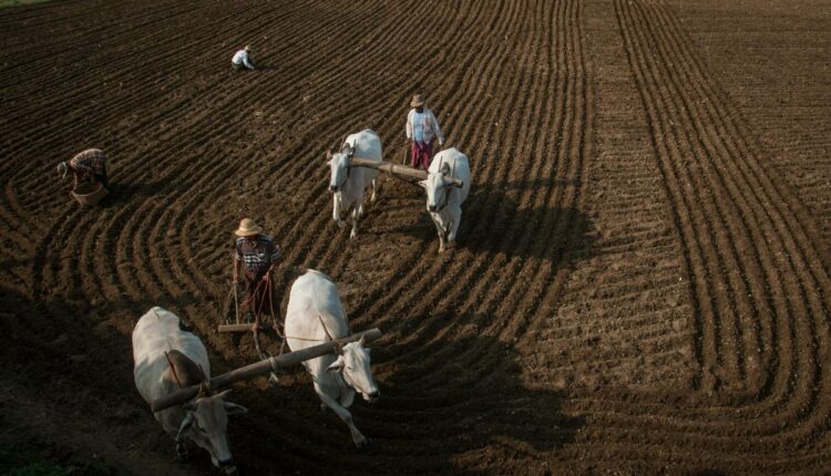 Who is Varad Samant? Goa's 32-year-old farmer earning Rs 60 lakh annually becomes agriculture brand ambassador