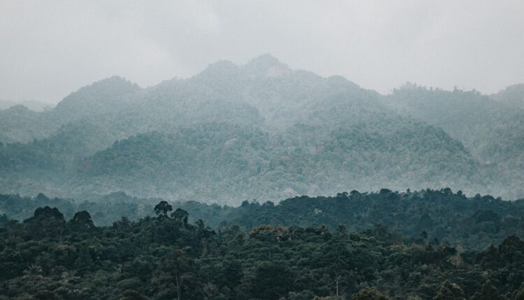 Explainer: Why Crops Fail After Unseasonal Rain?