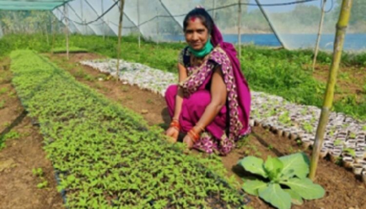 She Farmed Four Acres of Rain-Fed Land and Earned ₹2 Lakh a Year. Today She Runs a ₹40 Lakh Farm Enterprise.