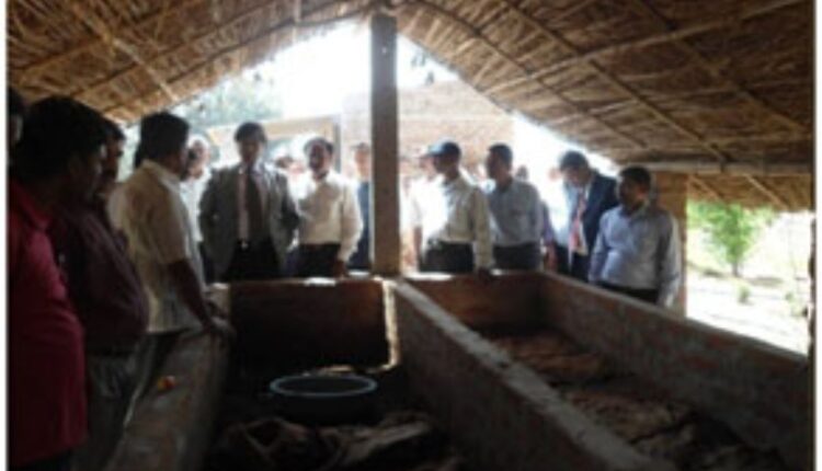 Barren to Bountiful: How Vijay Bahadur Singh Transformed Sandy Wasteland Into a Productive Farm